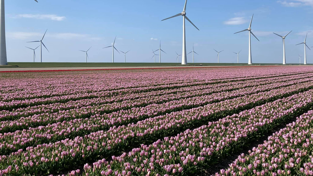 windmolen