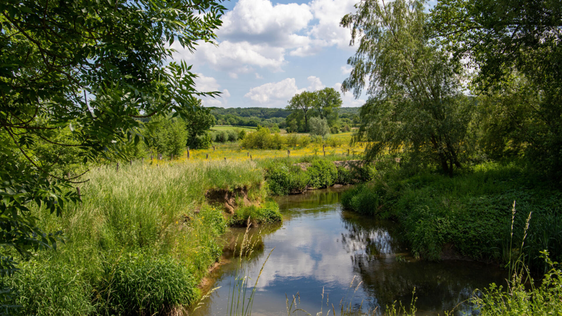 Limburgse geul beeld bij persbericht Natuurnetwerk