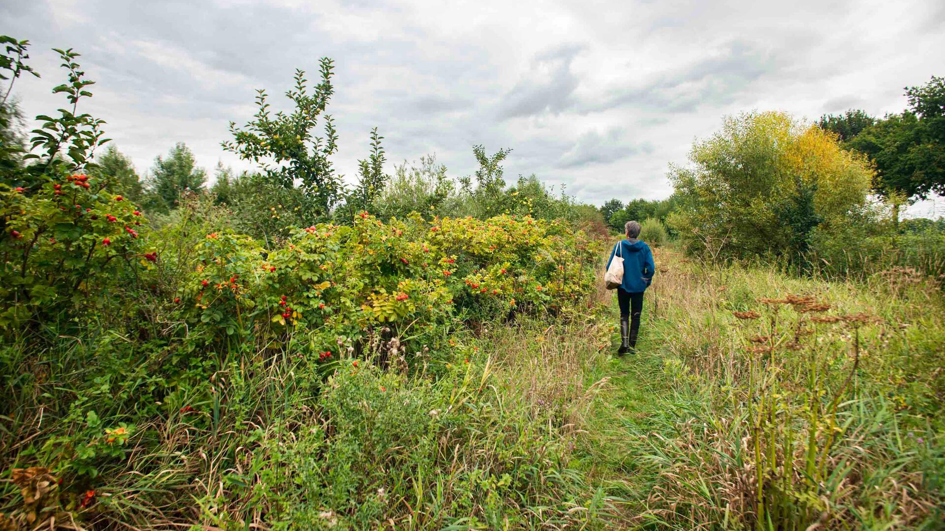 Onderwijs in de natuur
