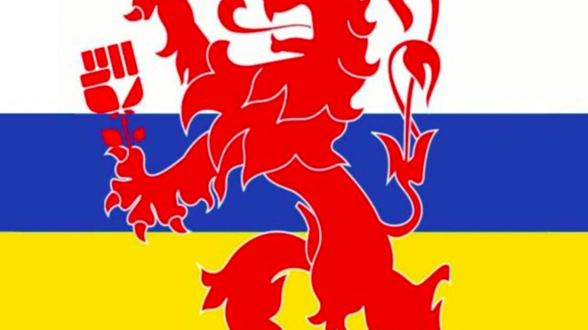 vlag groot