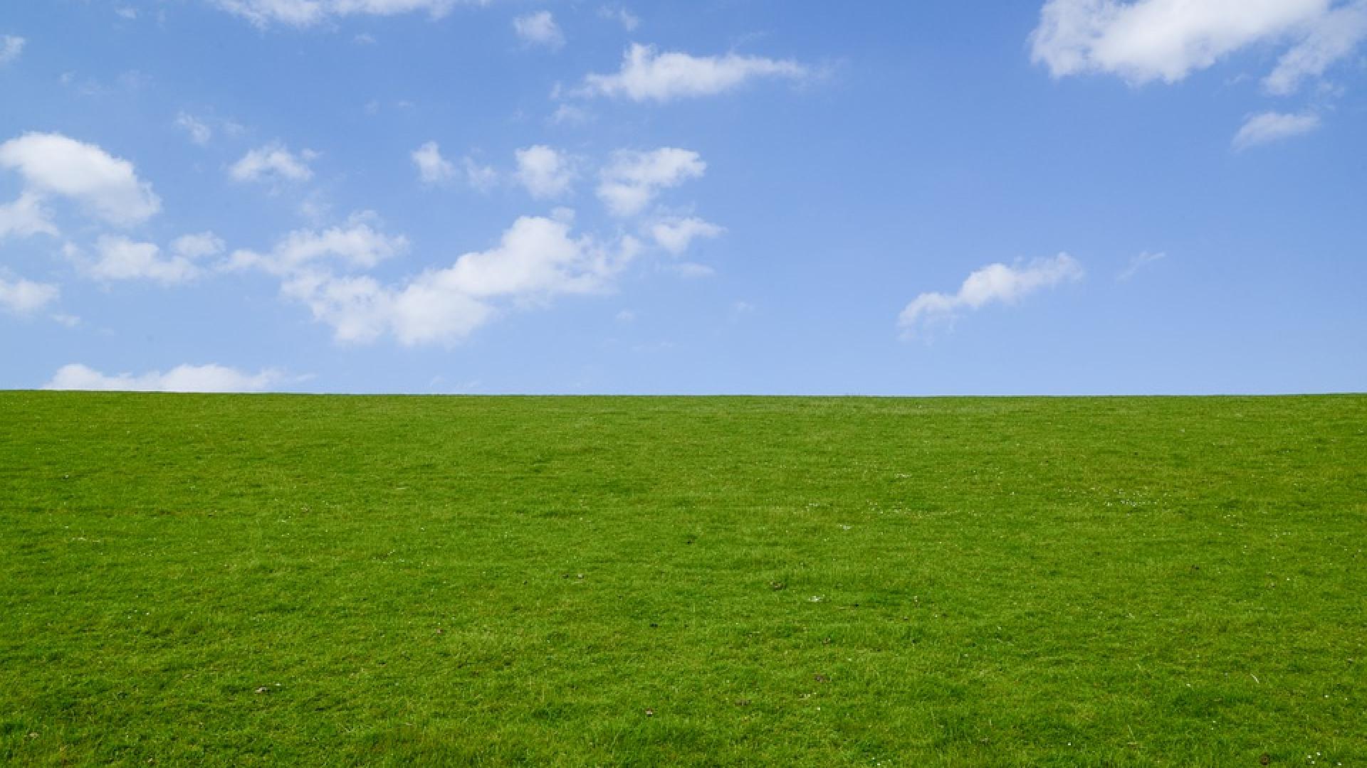 green-3395707_960_720.jpg